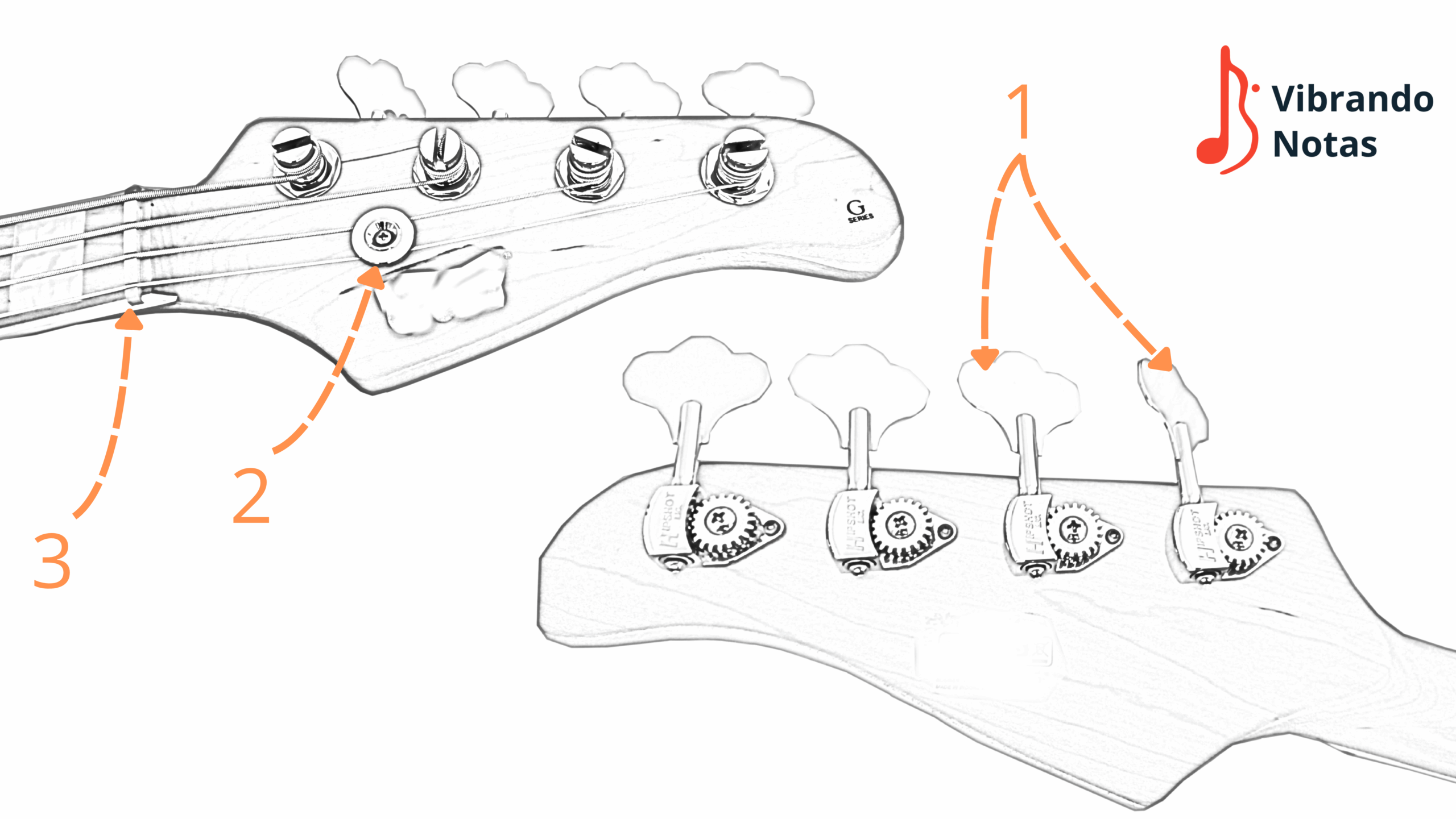 Imagem do headstock do contrabaixo